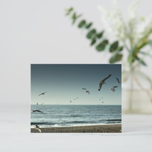 Zeemeeuwen Brighton Briefkaart (Staand voorkant)