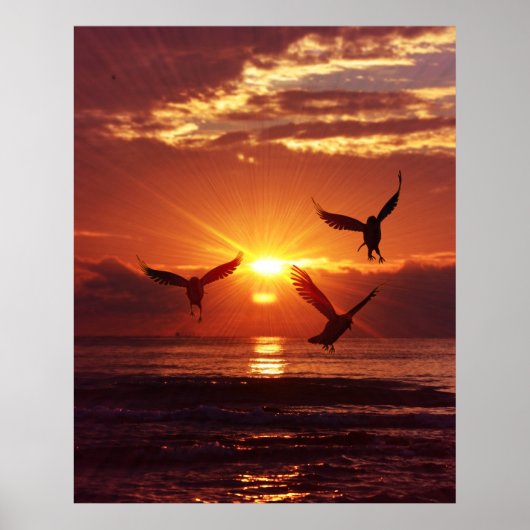 Zeemeeuwen die onder een gouden zonsondergang vlie poster (Voorkant)