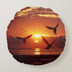 Zeemeeuwen die onder een gouden zonsondergang vlie rond kussen