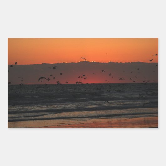 Zeemeeuwen die over de oceaan vliegen Sunrise Foto Rechthoekige Sticker (Voorkant)