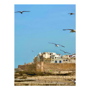 Zeemeeuwen en de stad. - Essaouira, Marokko Foto Afdruk