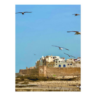 Zeemeeuwen en de stad. - Essaouira, Marokko Foto Afdruk