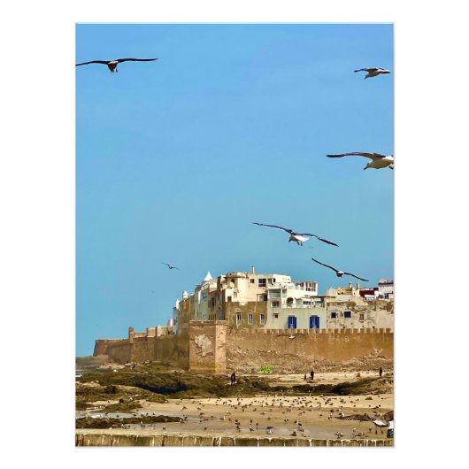 Zeemeeuwen en de stad. - Essaouira, Marokko Foto Afdruk (Voorkant)