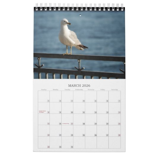 Zeemeeuwen en Strandvogellandschap Fotokalender Kalender (Mar 2026)