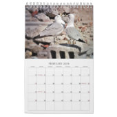 Zeemeeuwen en Strandvogellandschap Fotokalender Kalender (Feb 2026)
