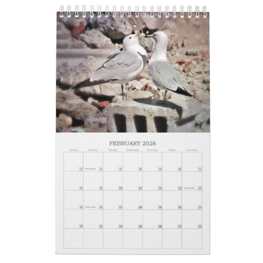 Zeemeeuwen en Strandvogellandschap Fotokalender Kalender (Feb 2026)