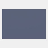 Zeemeeuwen en zeesterren Gold Stars Nautical Inpakpapier Vel (Voorkant 3)