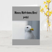 Zeemeeuwen Happy Hatching Birthday Kaart (Gele Bloem)