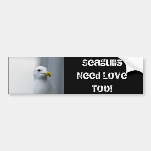 Zeemeeuwen hebben ook liefde nodig bumpersticker (Voorkant)