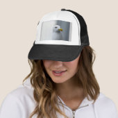 Zeemeeuwen hebben ook liefde nodig trucker pet (In situ)