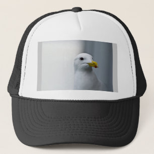 Zeemeeuwen hebben ook liefde nodig trucker pet