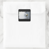 Zeemeeuwen hebben ook liefde nodig vierkante sticker (Tas)