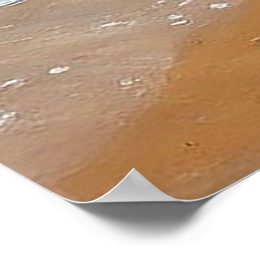 Zeemeeuwen op een kustlijn met oceaangolven poster (Hoek)