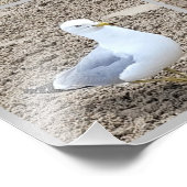 Zeemeeuwen op het strand foto afdruk (Hoek)