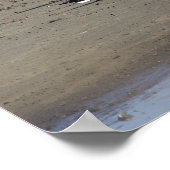 Zeemeeuwen op het strand Poster (Hoek)
