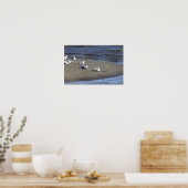Zeemeeuwen op het strand Poster (Keuken)