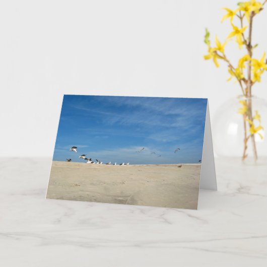 Zeemeeuwen op het strand Verjaardag Kaart w Bijbel (Gele Bloem)