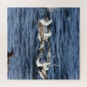 Zeemeeuwen op Oceanen Acryl Jigsaw puzzel (Horizontaal)