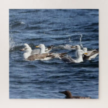 Zeemeeuwen op Oceanen Acryl Jigsaw puzzel