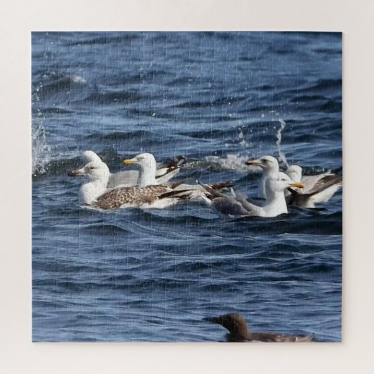 Zeemeeuwen op Oceanen Acryl Jigsaw puzzel (Verticaal)