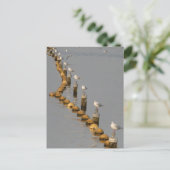 Zeemeeuwen op Polen DIY Briefkaart (Staand voorkant)