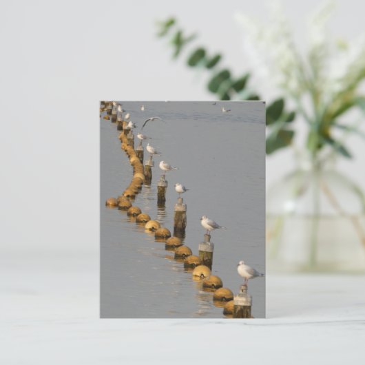 Zeemeeuwen op Polen DIY Briefkaart (Staand voorkant)