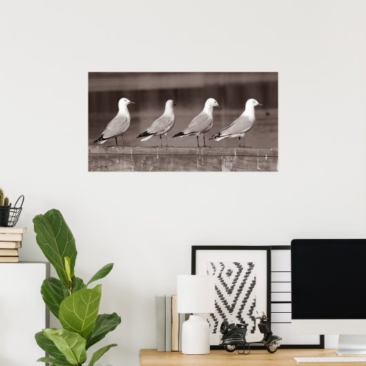 Zeemeeuwen op rij poster (Thuiskantoor)