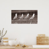 Zeemeeuwen op rij poster (Keuken)