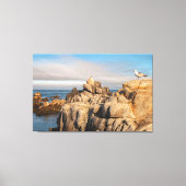 Zeemeeuwen op Rocky Coastline Canvas Afdruk (Voorkant)