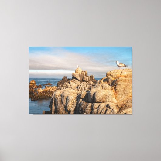 Zeemeeuwen op Rocky Coastline Canvas Afdruk (Voorkant)