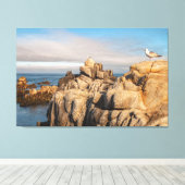 Zeemeeuwen op Rocky Coastline Canvas Afdruk (Insitu (Houten vloer))