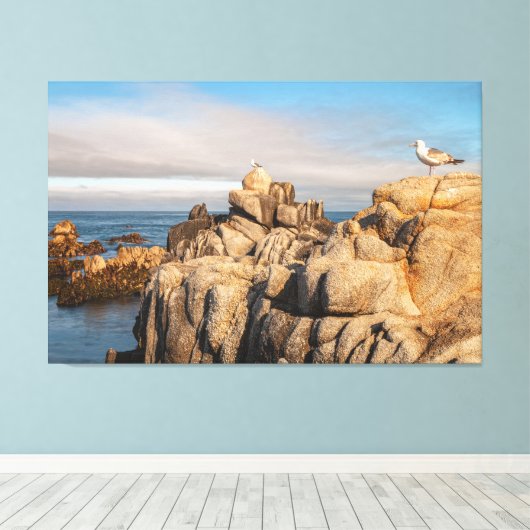 Zeemeeuwen op Rocky Coastline Canvas Afdruk (Insitu (Houten vloer))