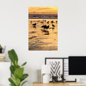 Zeemeeuwen op strand bij zonsondergang poster (Thuiskantoor)