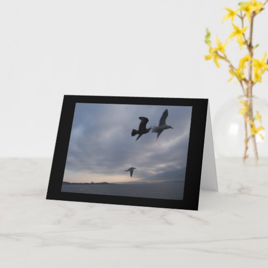 Zeemeeuwen over de Kaart van de Sympathie van (Gele Bloem)