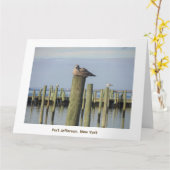 zeemeeuwen, Port Jefferson NY Kaart (Gele Bloem)