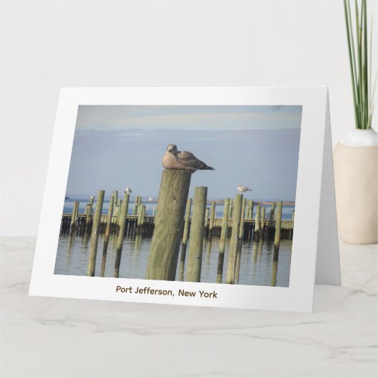 zeemeeuwen, Port Jefferson NY Kaart (Voorkant)