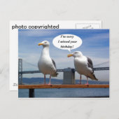 Zeemeeuwen praten briefkaart (Voorkant / Achterkant)