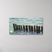 Zeemeeuwen Rust op Pilings Canvas Print (Voorkant)