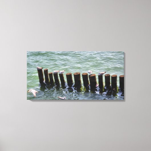 Zeemeeuwen Rust op Pilings Canvas Print (Voorkant)
