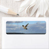 Zeemeeuwen tijdens de vlucht etiket (Insitu)