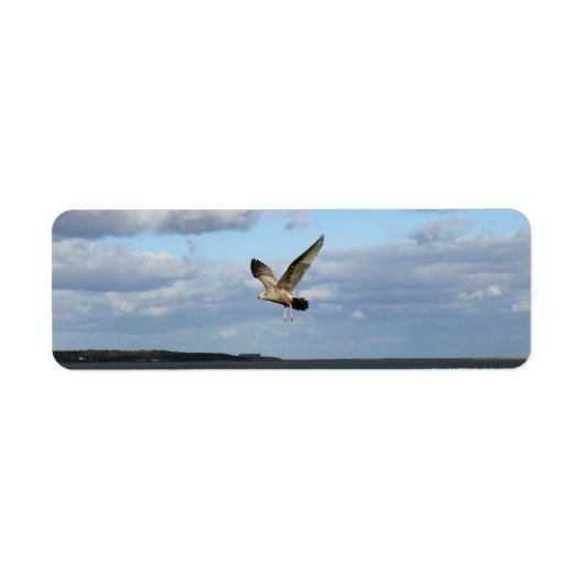 Zeemeeuwen tijdens de vlucht etiket (Voorkant)