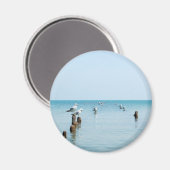 ZEEMEEUWMAGNEET MAGNEET (Voorkant / Achterkant)