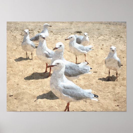 Zeemijlen door de kust poster (Voorkant)