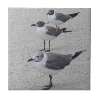 Zeemijlen op de strand tegeltje