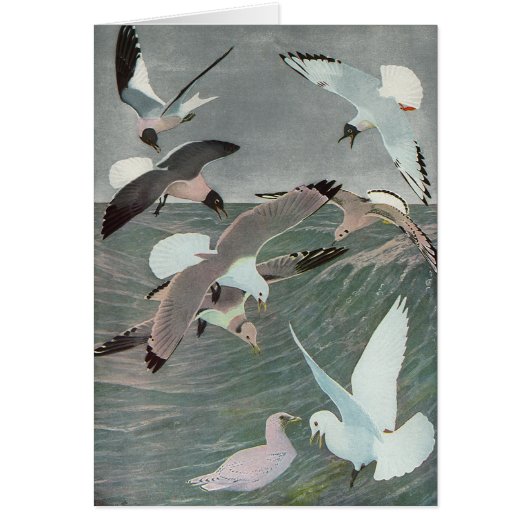 Zeemijlen over oceaangolven door Louis Agassiz Fue (Voorkant)