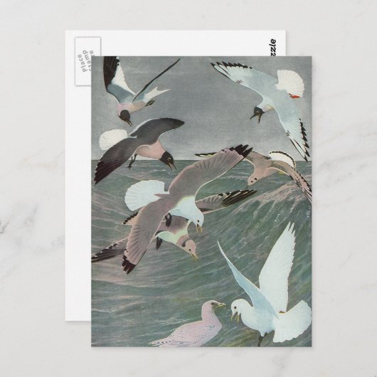 Zeemijlen over oceaangolven door Louis Agassiz Fue Briefkaart (Voorkant / Achterkant)