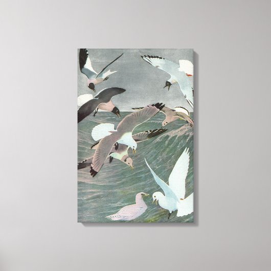 Zeemijlen over oceaangolven door Louis Agassiz Fue Canvas Afdruk (Voorkant)