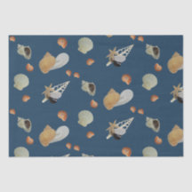 Zeemijlzomer ontkoppeling van de zeekust