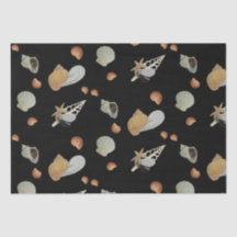 Zeemijlzomer ontkoppeling van de zeekust