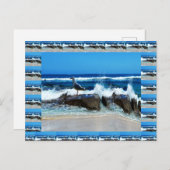 zeemleder op de balkstokken, briefkaart (Voorkant / Achterkant)